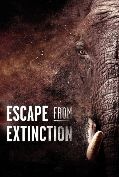 Escape from Extinction